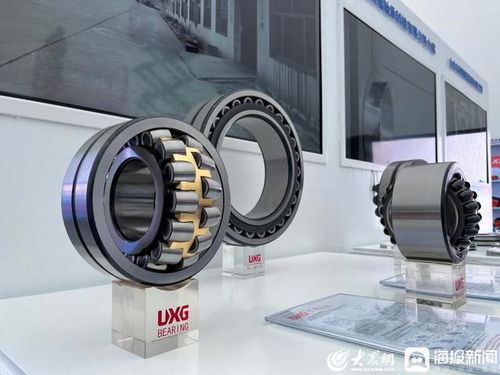 張百順巡看第三屆跨國公司領(lǐng)導(dǎo)人青島峰會聊城展區(qū) 展示區(qū)域魅力，共促開放合作